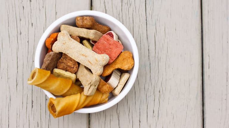 Treats That Make Our Pets Happier, Blog, SenseTest