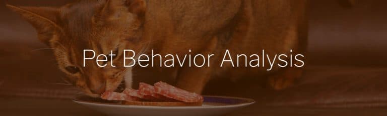 Sensory Trends for 2024, Blog, SenseTest
