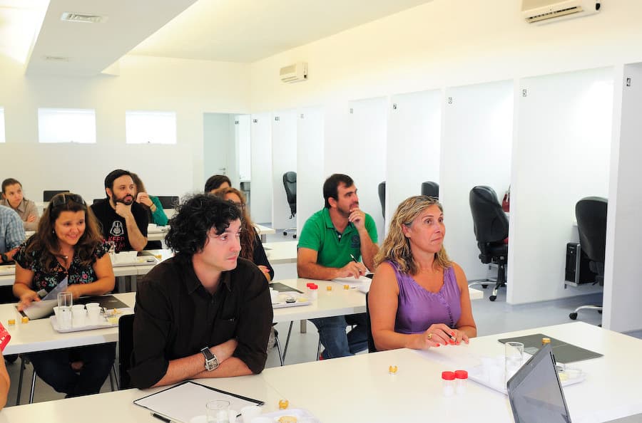 Sense Training, SenseTest Sense Training, SenseTest