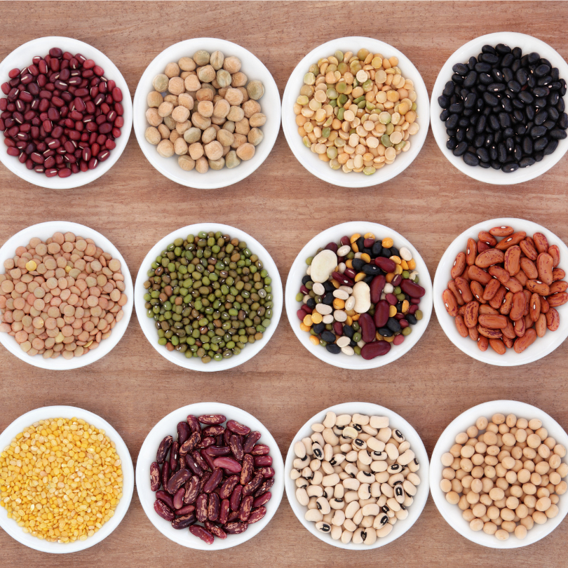 Alternative Proteins as Food Ingredients: are they feasible and tasty?, Blog, SenseTest